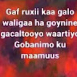 Meet your Posher, Farxada fantastic